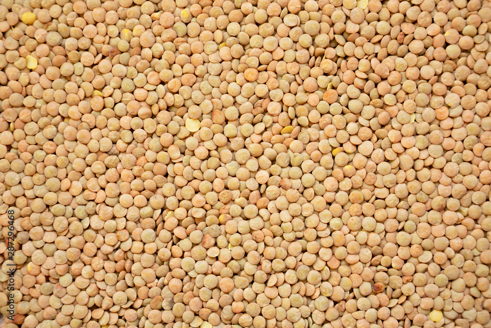 Organic green lentils background, view from above. Close-up. Organic green lentils background, view from above. Close-up.