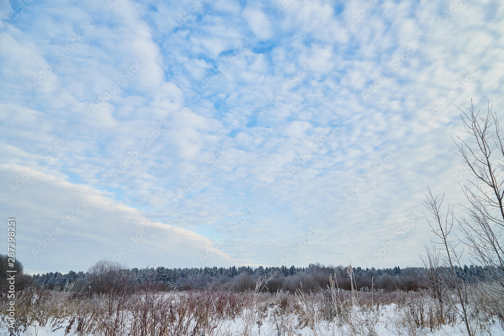 Winter landscape with blue sky and white clouds above field with snow and forest on the horizon Winter landscape with blue sky and white clouds above field with snow and forest on the horizon