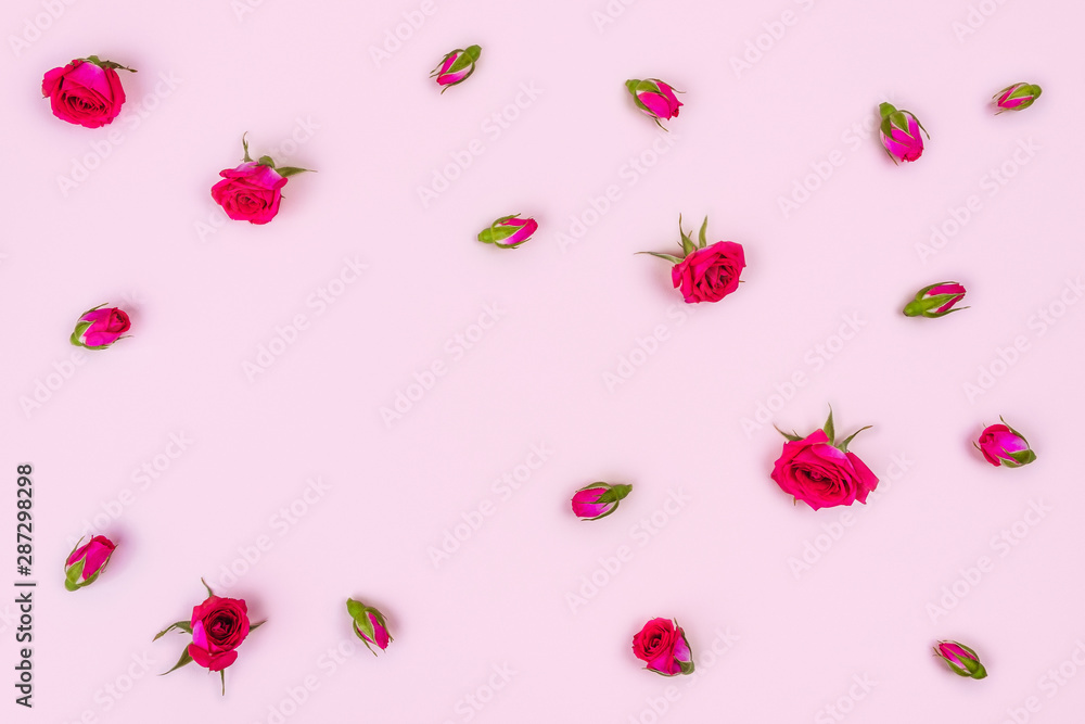 Beautiful roses on pink background, top view. Beautiful roses on pink background, top view.