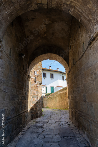 Fototapeta Naklejka Na Ścianę i Meble -  Montevettolini, historic town in Chianti
