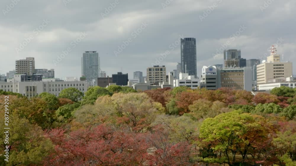Osaka city surrounded by beautiful trees Osaka city surrounded by beautiful trees