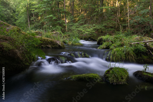Fototapeta Naklejka Na Ścianę i Meble -  beautiful natural river stream motion water in the forest with moss rocks trees