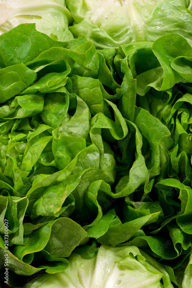 Closeup of italian fresh salad in a market Closeup of italian fresh salad in a market