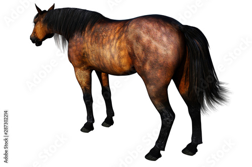 Brown Horse Standing  3D illustration  3D rendering