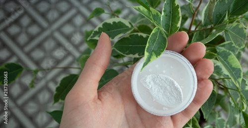 White mineral powder in female palm near green ficus leaves photo