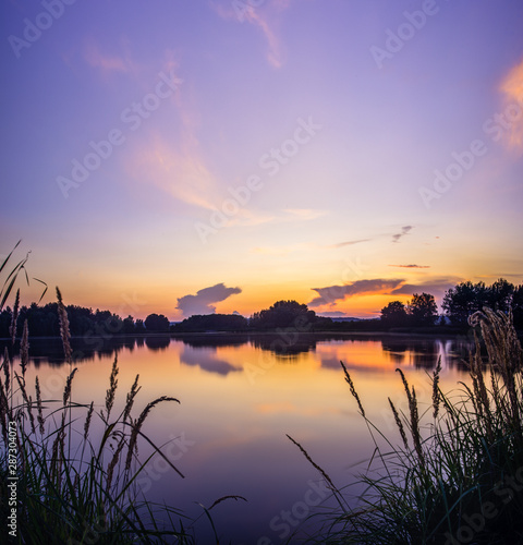 Golden hour, near the shore of the pond, fish in the water. beautiful relaxing environment. In the Czech Republic.