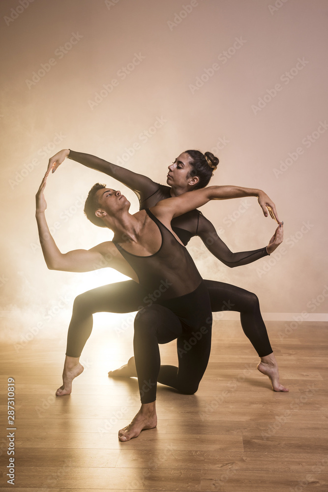 Obraz premium Front view ballet choreography