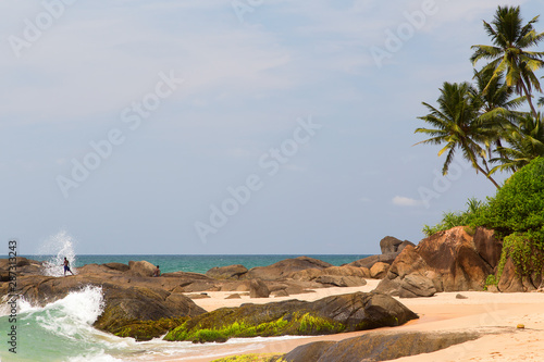  Beautiful beach with palm trees and boulders on the tropical island of Sri Lanka. 