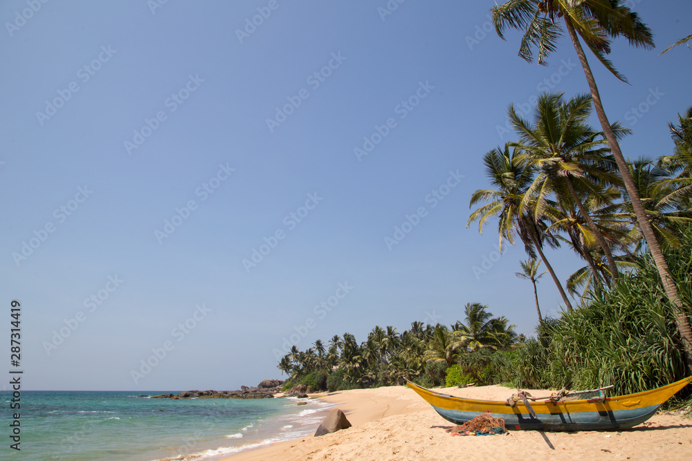  Beautiful beach with palm trees and boulders on the tropical island of Sri Lanka. 