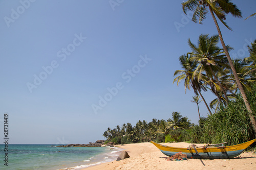  Beautiful beach with palm trees and boulders on the tropical island of Sri Lanka. 