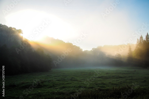 Sunrise and morning mist over green meadow in summer