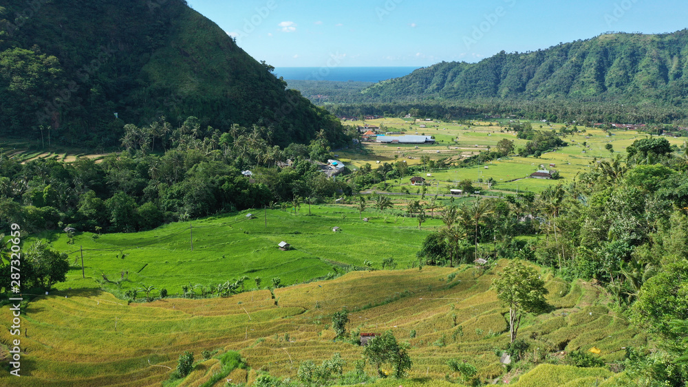 Beautiful view of rice fields at Abang village, East Bali.