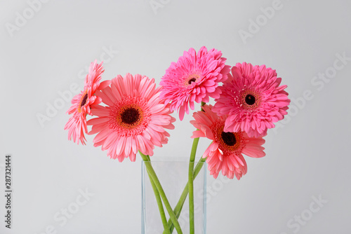 Vase with beautiful gerbera flowers on light background