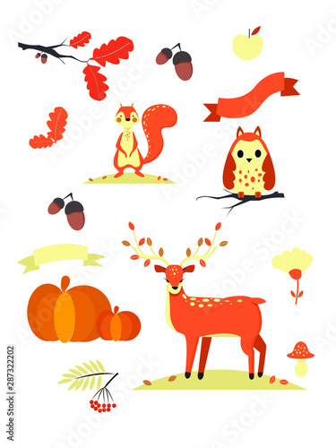 Autumn set vector illustration. Deer, squirrel, owl, acorns, branch, flower, pumpkin, mountain ash.