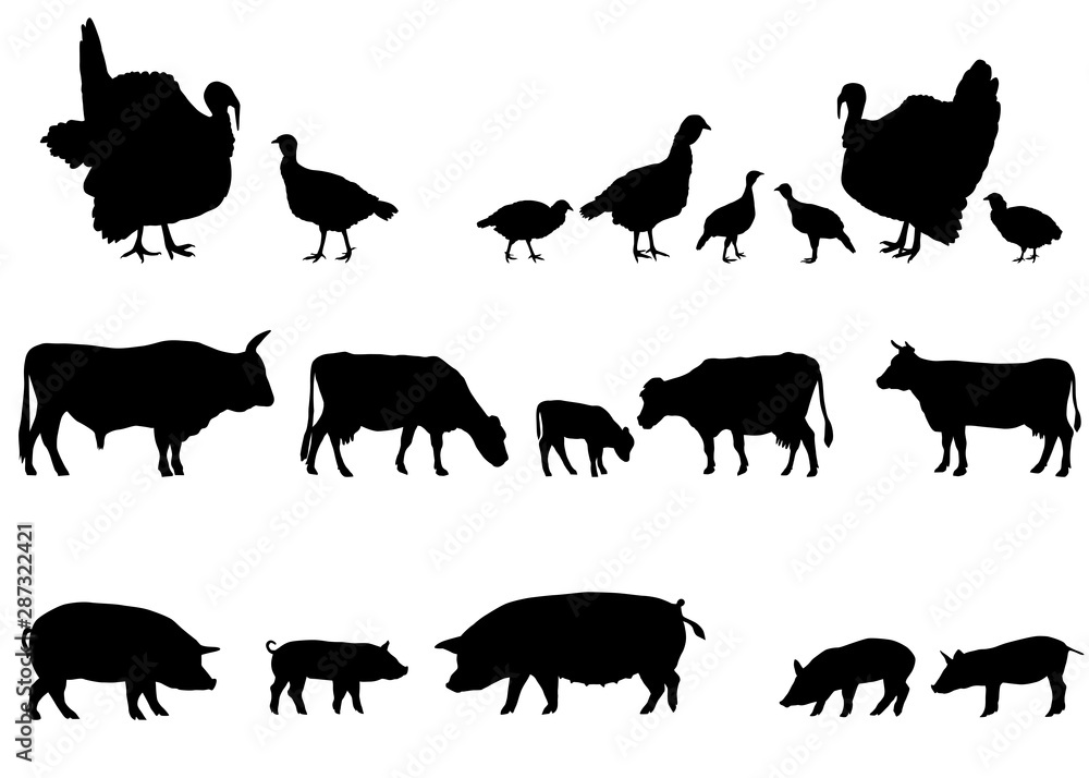 Collection of silhouettes of farm animals - turkeys, cows and pigs Collection of silhouettes of farm animals - turkeys, cows and pigs