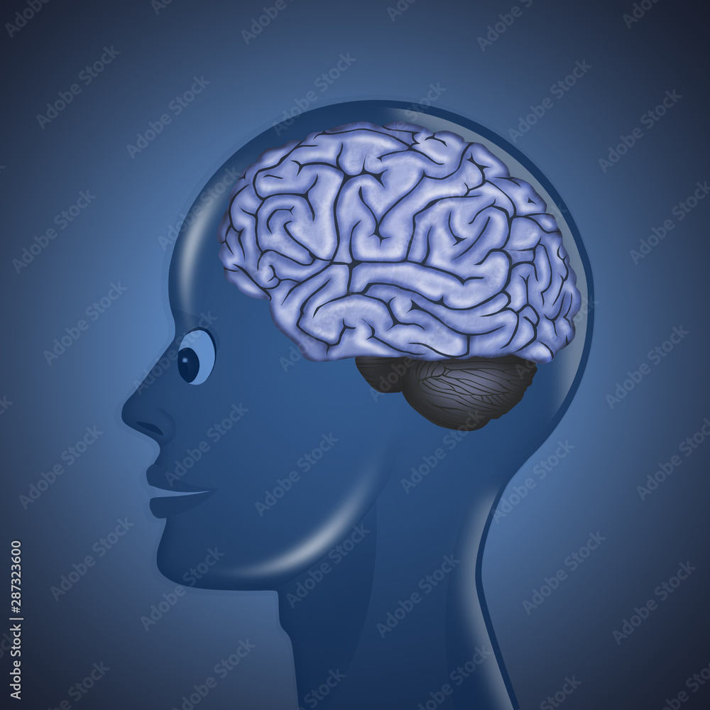 Obraz premium illustration of human brain in the head