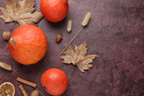Autumn composition with fresh pumpkins on color background