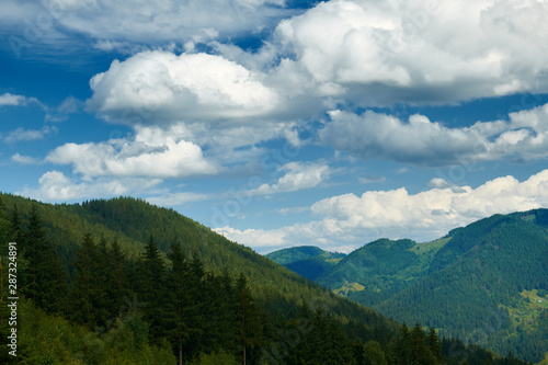 Spruces on hills - beautiful summer landscape, cloudy sky at bright sunny day. Carpathian mountains. Ukraine. Europe. Travel background. © soleg