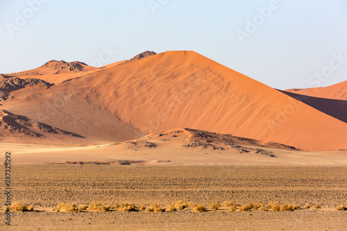 Beautiful red sand dune in the morning light  Namib desert  Namibia