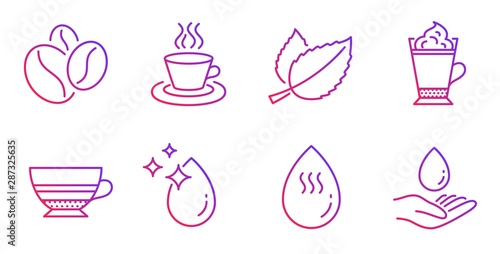 Mint leaves, Tea cup and Coffee beans line icons set. Mocha, Water drop and Hot water signs. Latte coffee symbol. Mentha herbal, Roasted seeds. Food and drink set. Gradient mint leaves icon. Vector