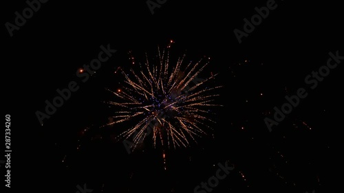 Wallpaper Mural Colourful fireworks in the night sky Torontodigital.ca