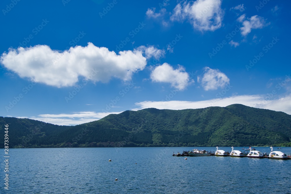 Obraz premium 芦ノ湖 ボート あひる 足こぎ