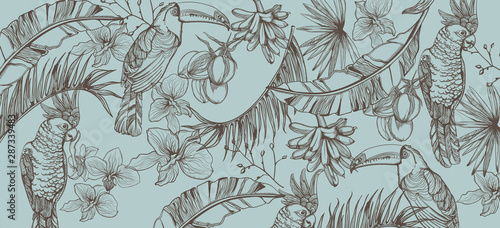 Tropic parrot card Vector line art . Exotic pattern leaves decors