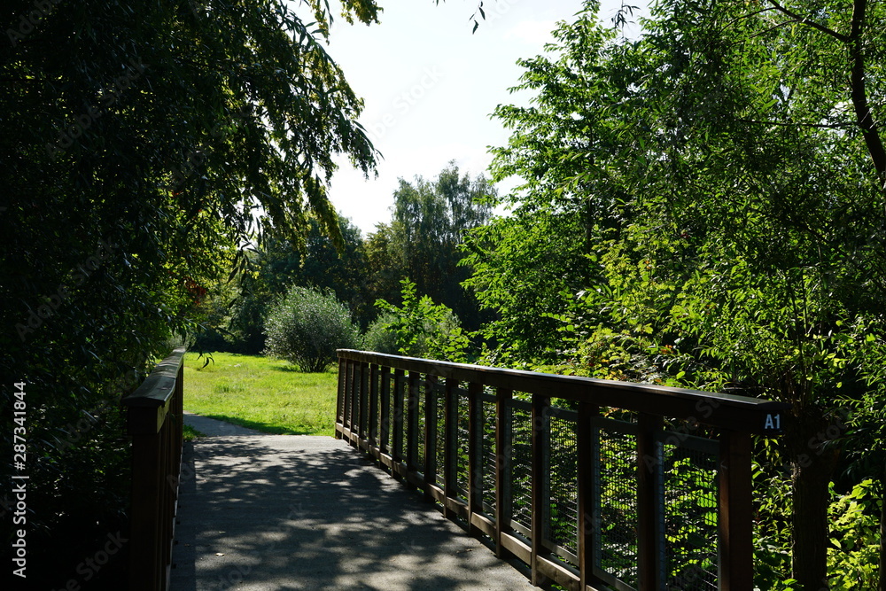 nature nature