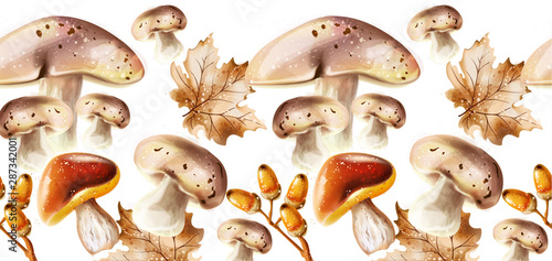 Autumn harvest pattern Vector. Fall muchrooms and fruits decor posters