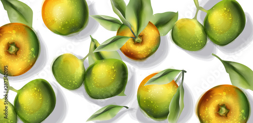 Fototapeta Naklejka Na Ścianę i Meble -  Apple fruits pattern Vector watercolor. Top view autumn harvests