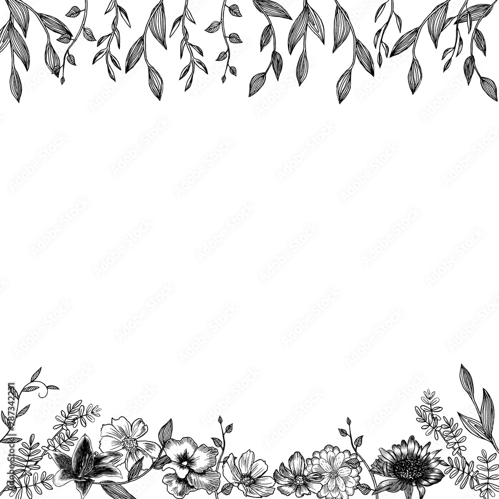 Fototapeta premium Floral frame top and bottom. Black-white hand-drawn illustration of realistic colors. Small graceful plants with black contour isolated on white. Can be used for invitation cards, banners, flyers.
