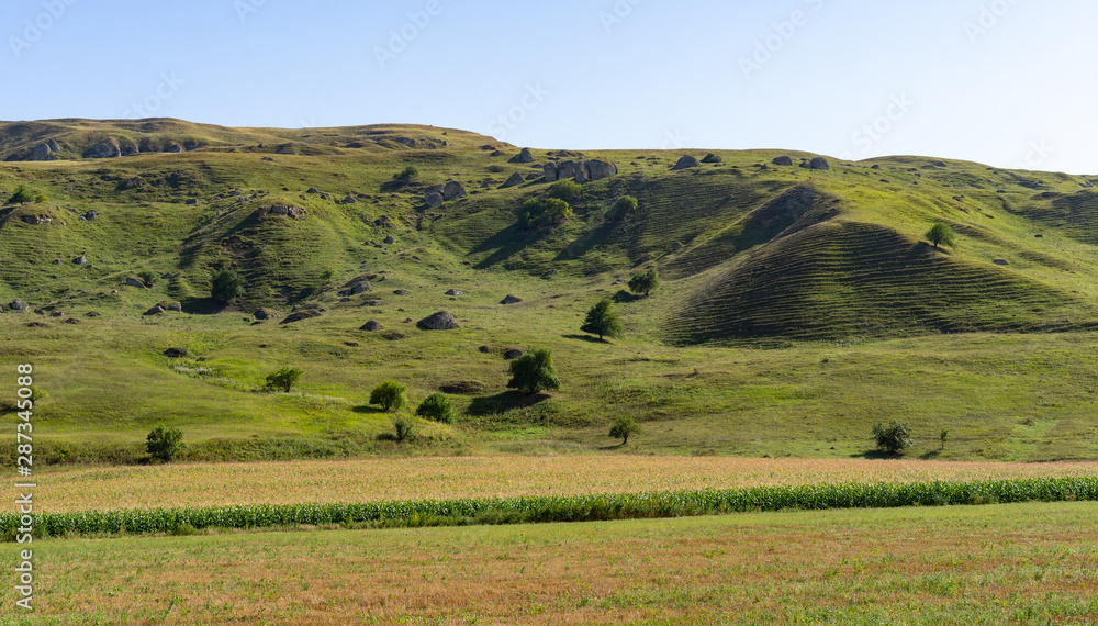 Landscape of a magnificent plain in summer Landscape of a magnificent plain in summer