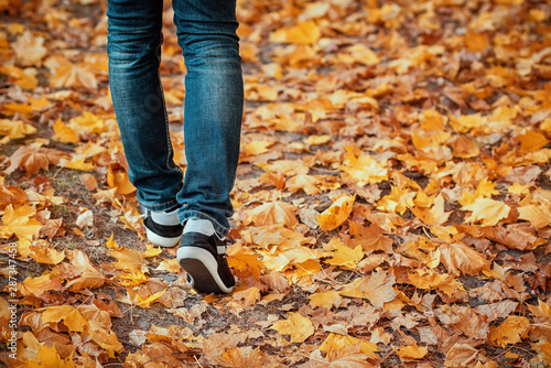 Male legs in blue jeans and sneakers walking out into the distance in autumn forest among yellow fallen leaves. Conceptual image  copy space
