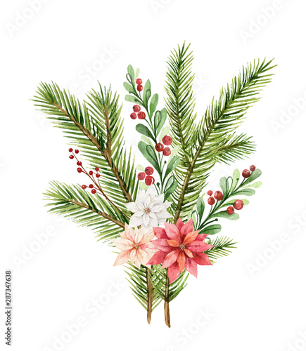 Watercolor vector Christmas bouquet with fir branches and flowers of poinsettia.