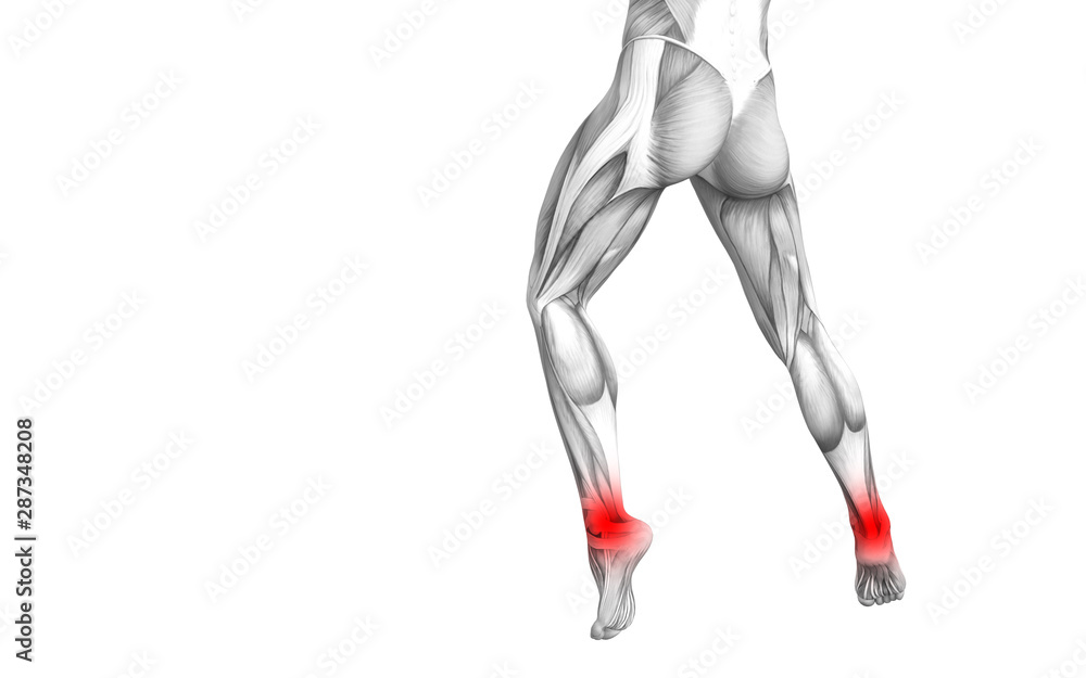 Conceptual ankle human anatomy with red hot spot inflammation or articular joint pain for leg health care therapy or sport muscle concepts. 3D illustration man arthritis or bone osteoporosis disease Conceptual ankle human anatomy with red hot spot inflammation or articular joint pain for leg health care therapy or sport muscle concepts. 3D illustration man arthritis or bone osteoporosis disease