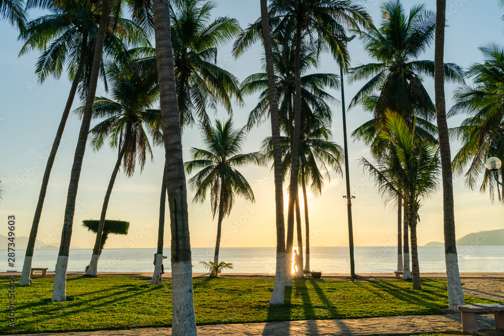 Tropical beach with coconut palm tree in morning sunrise