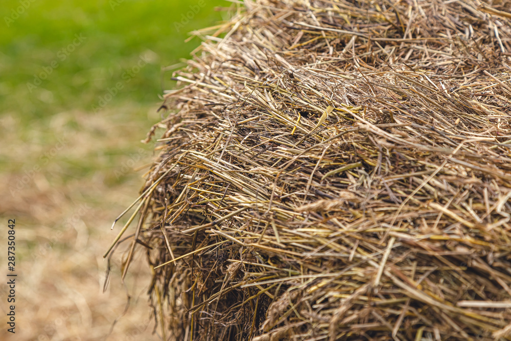 a stack of hay