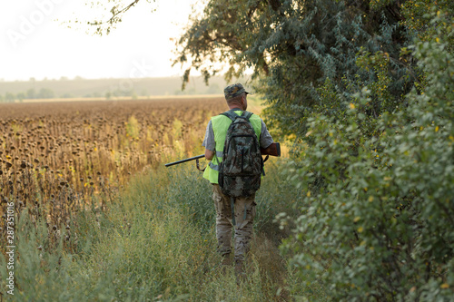 Hunting period, autumn season open. A hunter with a gun in his hands in hunting clothes in the autumn forest in search of a trophy. A man stands with weapons and hunting dogs tracking down the game. 