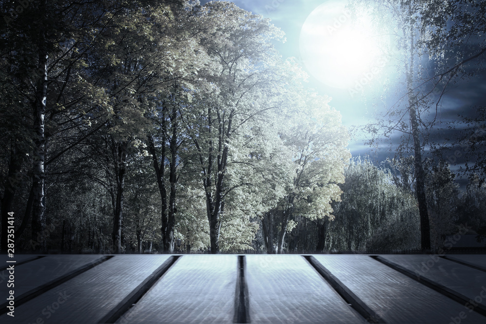 Obraz premium Empty dark background. Halloween pattern background. Moonlight through the trees in the forest. Wood worktop