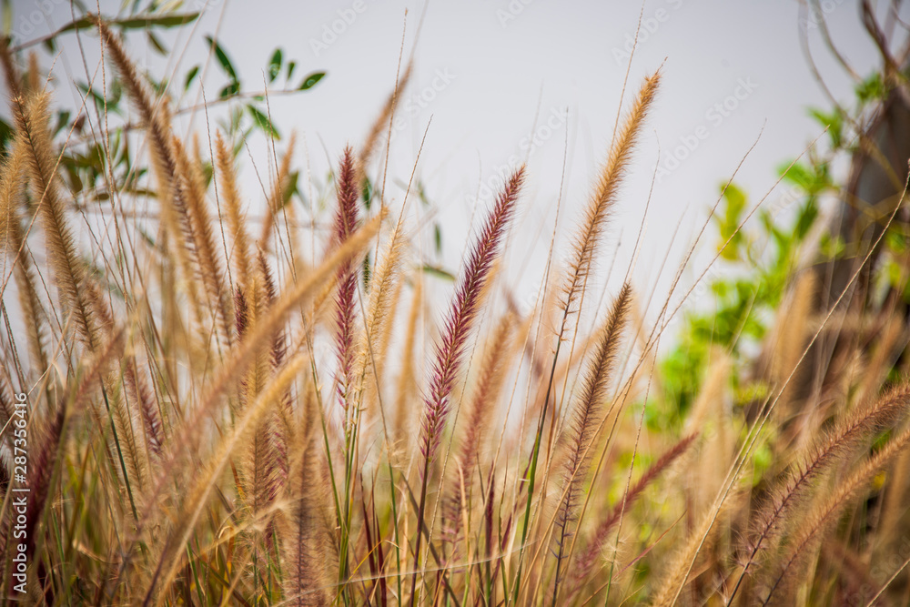 Naklejka premium Love Lake Dubai, UAE