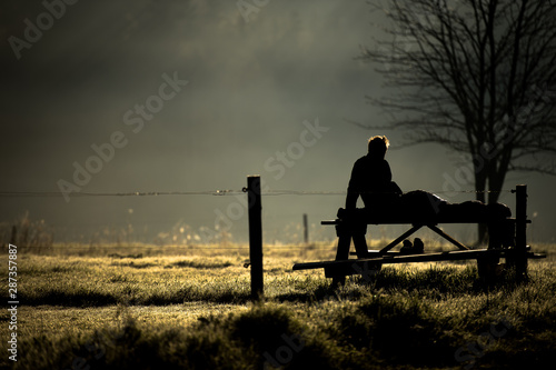 silhouette at sunrise