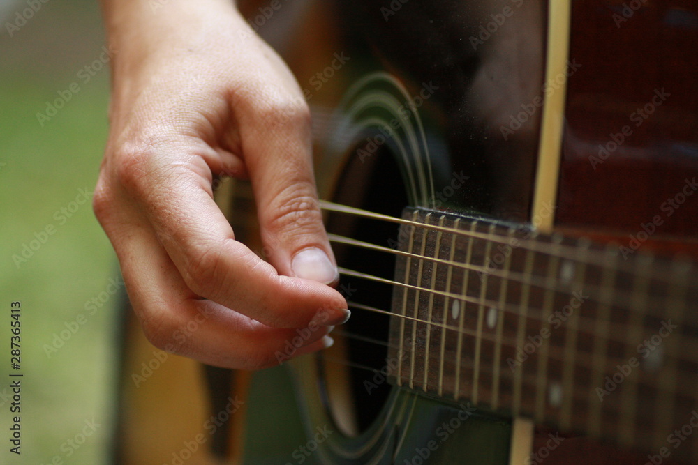 Guitar