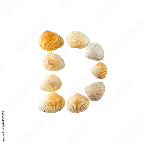 Letter "d" composed from seashells, isolated on white background
