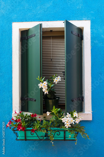 Window with Flowers in Burano