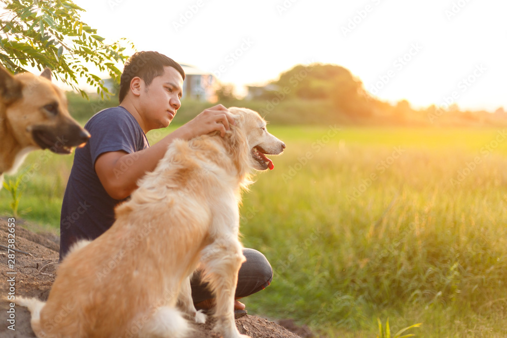 Asian man's sitting at ground with his golden retriever for seeing a sunset.