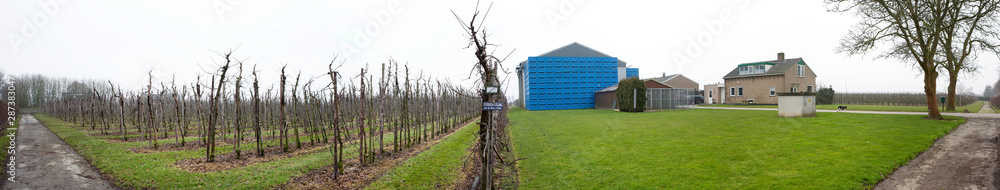 Horticultural farm. Netherlands panorama Horticultural farm. Netherlands panorama
