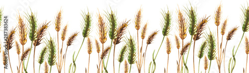 Seamless Border of spikelets