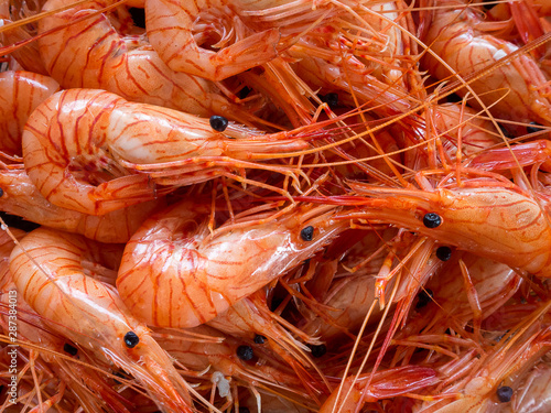 boiled small shrimp close up