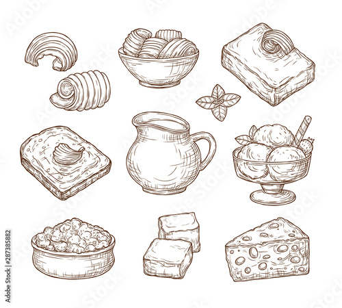 Sketch dairy products. Milk fresh, cheddar cheese and farm curd buttercream vintage hand drawn culinary vector set. Milk and cheese, organic fresh sketch, farm food dairy illustration