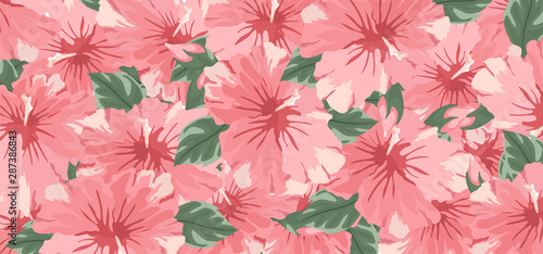 Background set of pink cucardas flowers